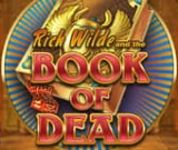 Book of Dead Spielgrafik